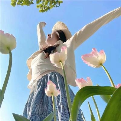 风骚律师第四季